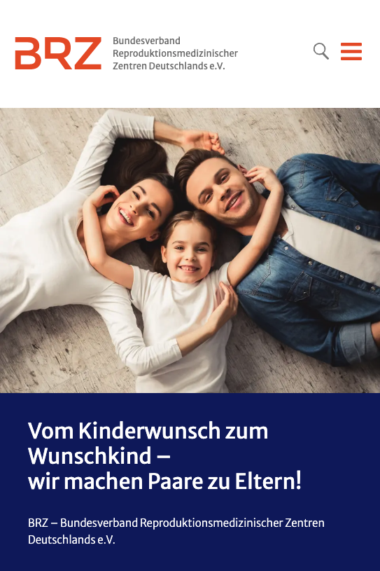 Webauftritt für den BRZ