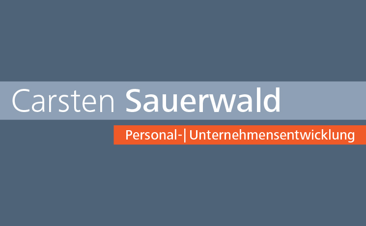 Webdesign und Programmierung für Carsten Sauerwald Teamentwicklung